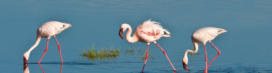 Lake Nakuru National Park