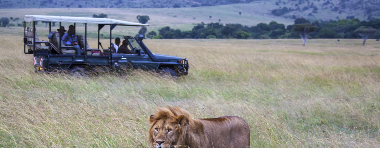 Masai Mara National Park