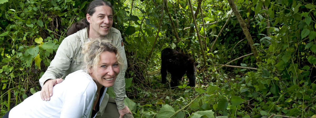 gorilla trekking experience in bwindi forest national park