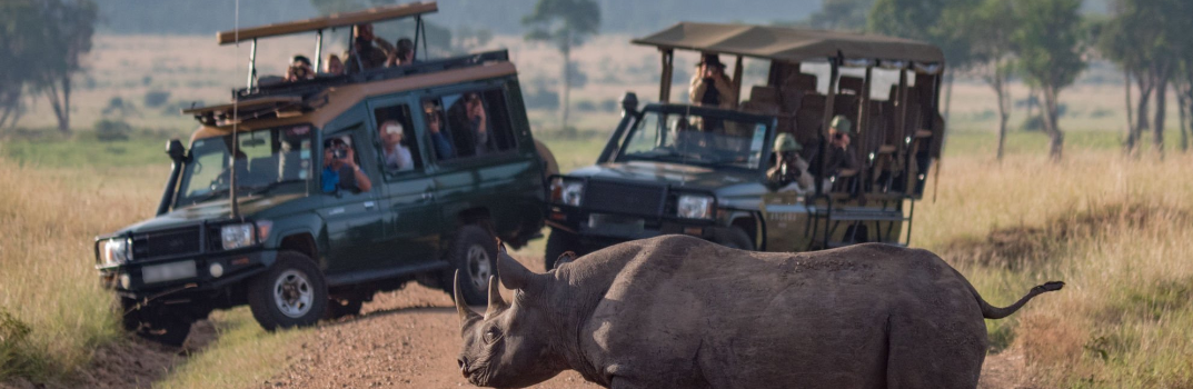 game drive in kenya wildlife safari