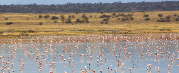 Lake Turkana