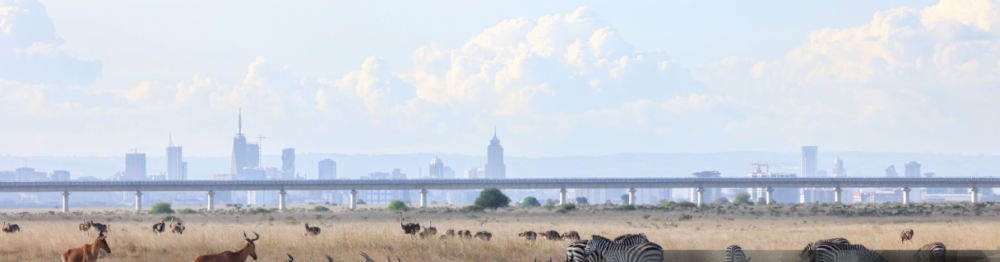 Scenic view of Nairobi National Park in Kenya with wildlife and city skyline in the background.