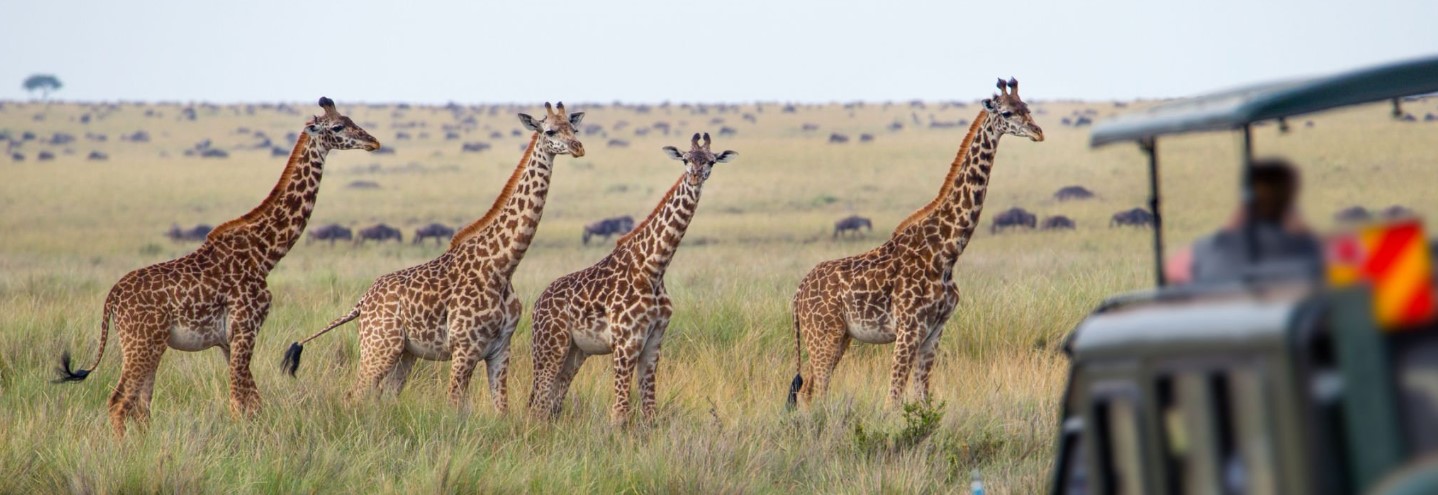 30-Days East Africa Safaris