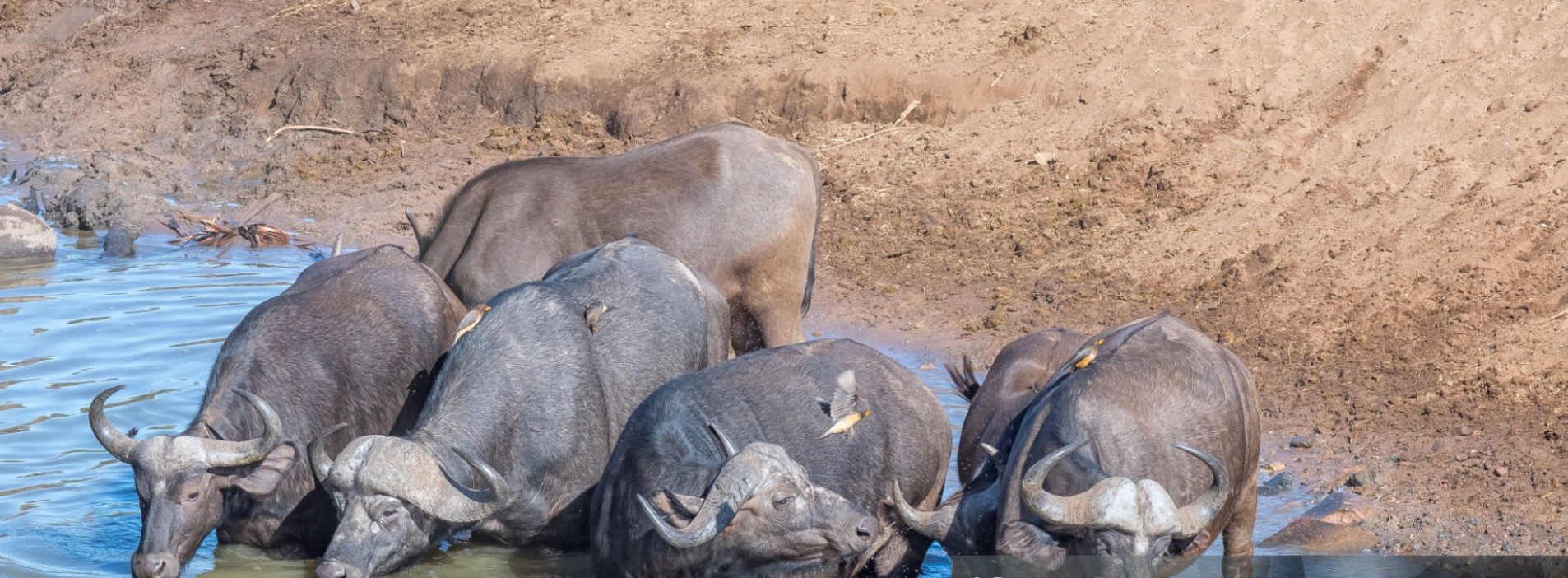 Pian Upe Wildlife Reserve